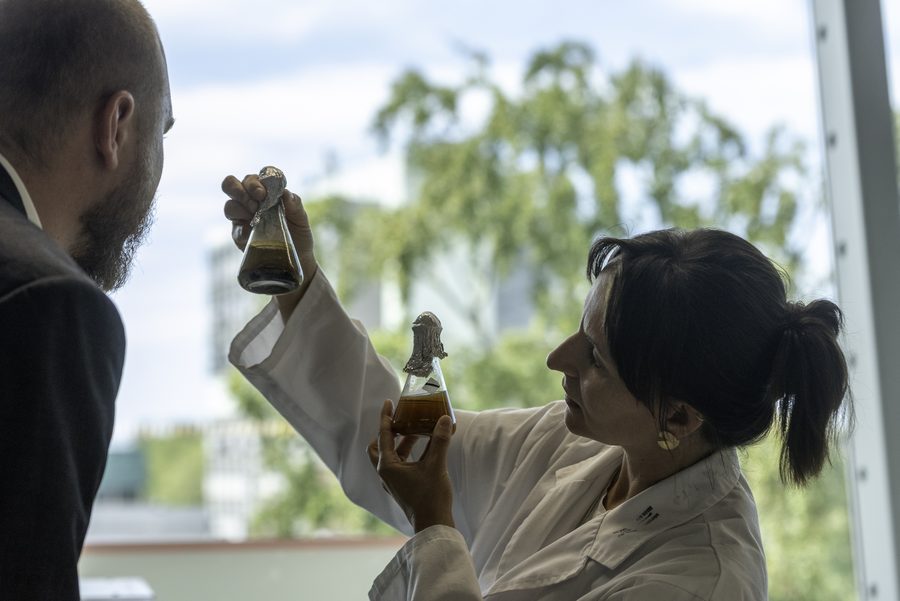 Researcher holding a culture flask up to the light