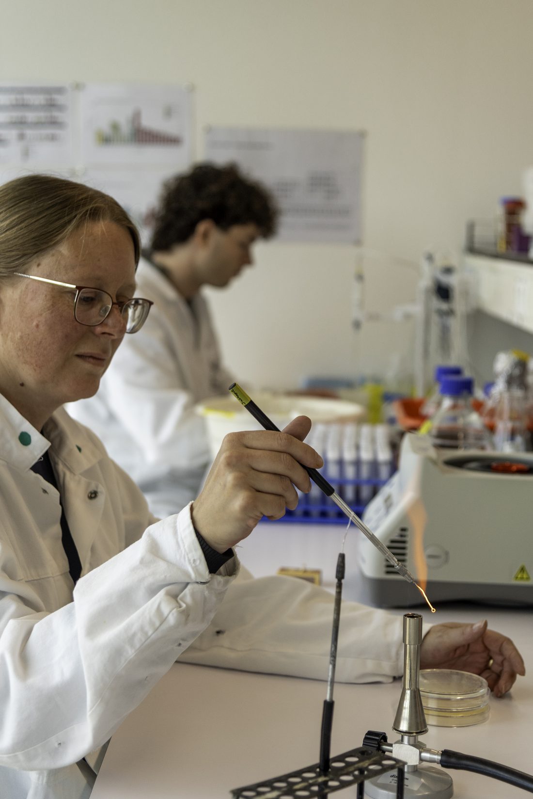 Researchers working with samples in the BioXtract laboratory